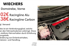 Wiechers_Domstrebe
