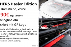 Wiechers_Domstrebe_HaslerEdition