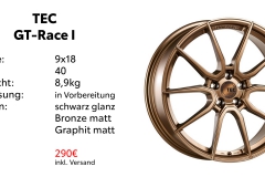 TEC-GT-Race-I_9x18_Bronze